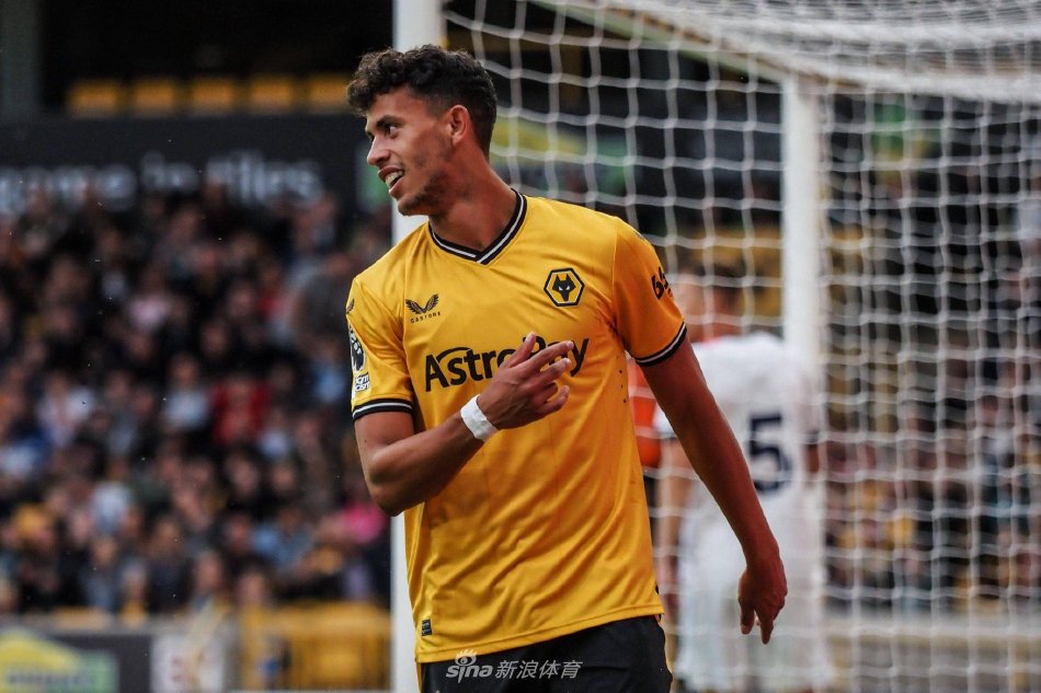 并成功打入 并成功打入